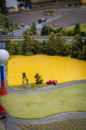 farm gallery pic