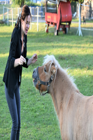farm gallery pic